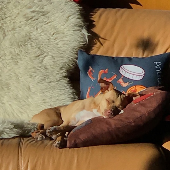 our home owners - Picture 4 of 7